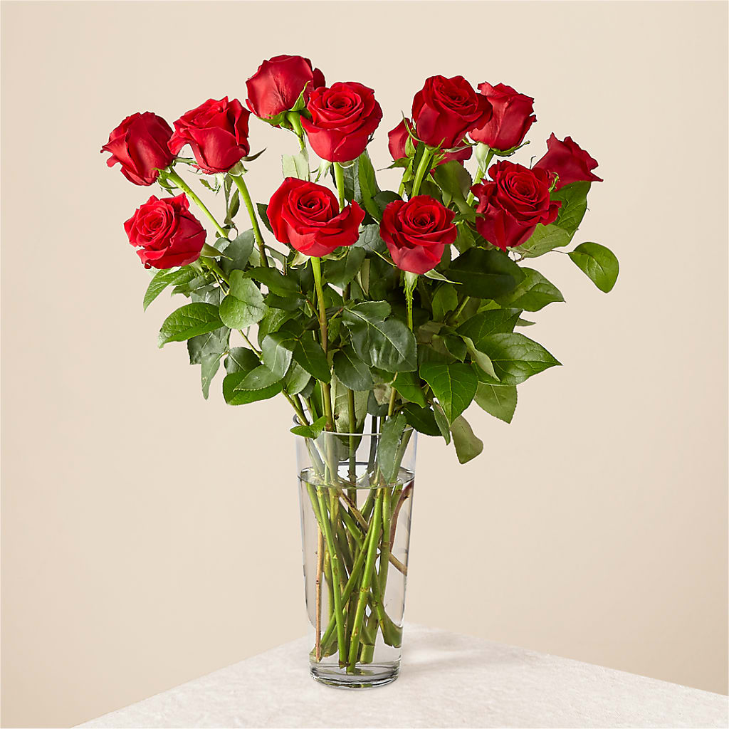 Long Stem Red Rose Bouquet – DIANA'S FLOWERS AND GIFTS, Aurora CO