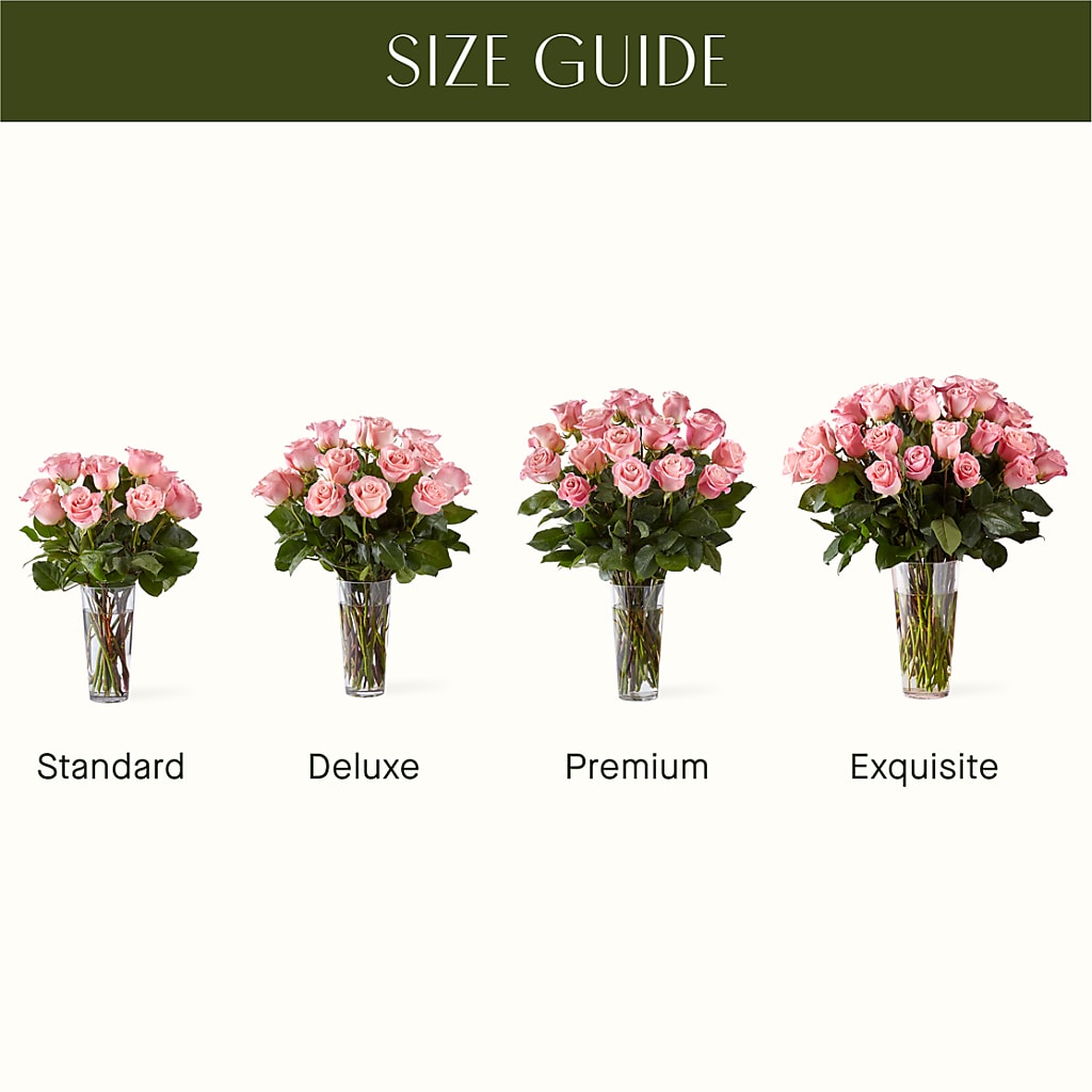 Long Stem Pink Rose Bouquet – DIANA'S FLOWERS AND GIFTS, Aurora CO