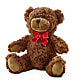 Adorable Plush Bear – DIANA'S FLOWERS AND GIFTS, Aurora CO